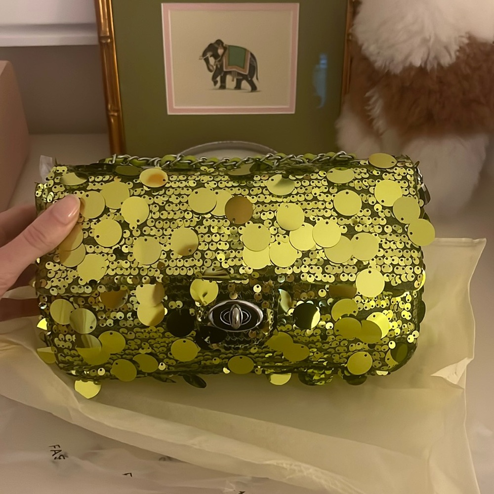 SHEIN Green Sequin Purse